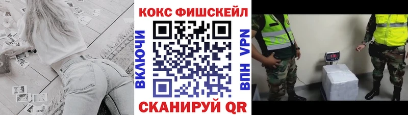 Cocaine FishScale  Купить  Санкт-Петербург 