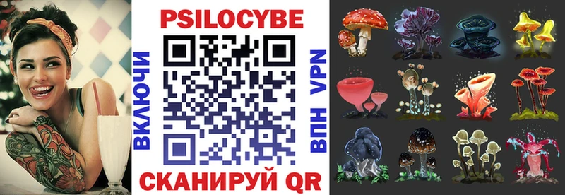 Купить где  Санкт-Петербург  Псилоцибиновые грибы GOLDEN TEACHER 